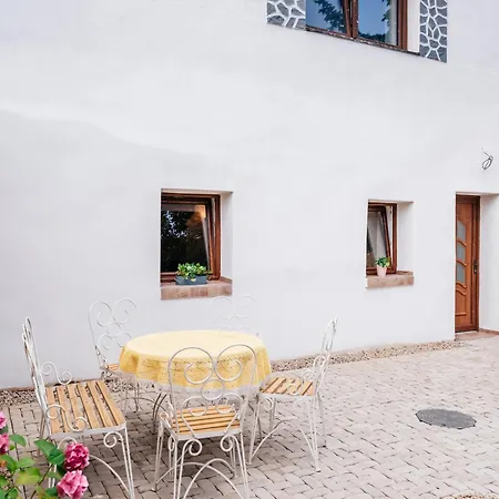 Pod Vinicemi Guest house